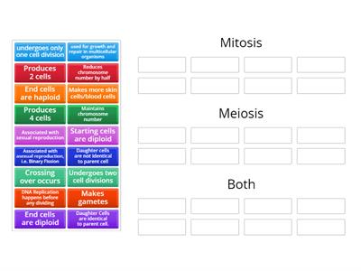 Compare and Contrast: Cell Reproduction