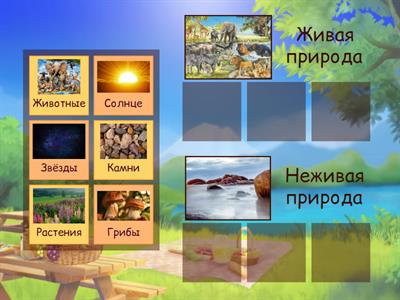 Окружающий мир