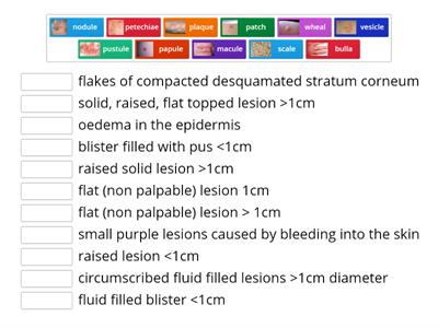 skin lesions EY