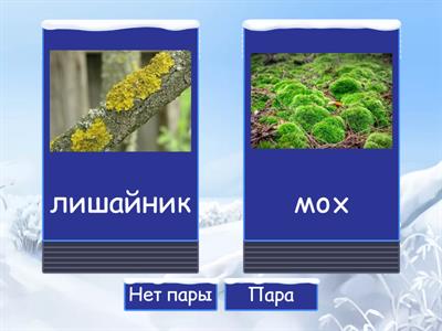 МЦКО 4 класс Окружающий мир Природные зоны