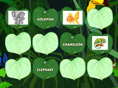 GAME 4: MEMORY GAME - FIND THE PAIRS!