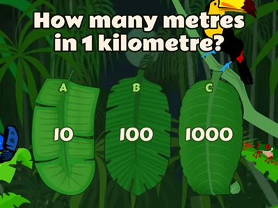 Metric Measurements Quiz