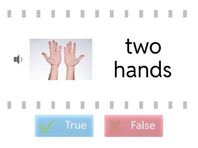 PRE-STARTERS revision