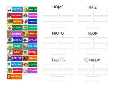 1º ESO - Partes comestibles de las plantas