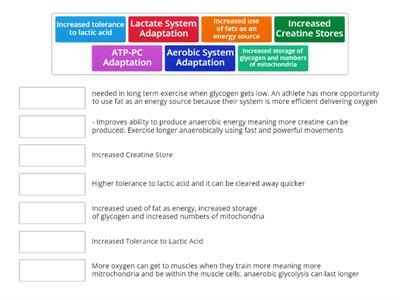 Adaptations of the Energy System 