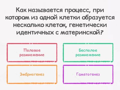 Размножение и развитие животных