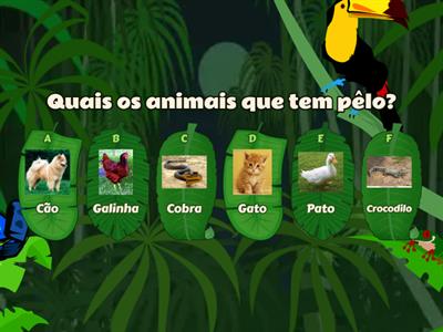 ANIMAIS