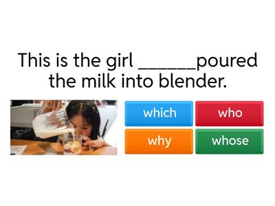 Relative pronouns who which where whose