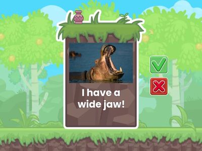 At the Zoo - Exercise!