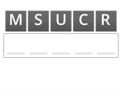 Project Management - Key Words