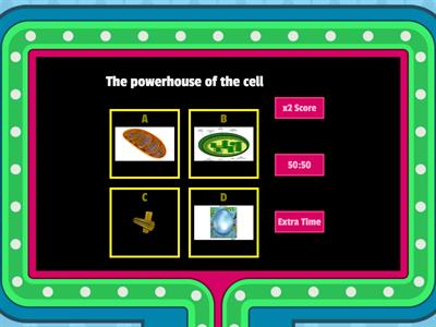 Organelles