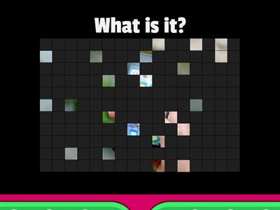 What is it? What are they?