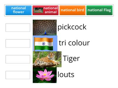 National Symbols 