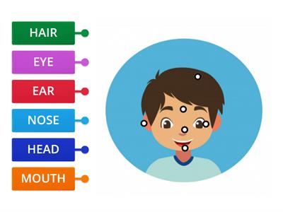 Parts of the face match