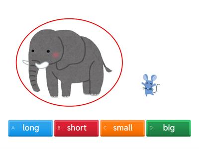 Adjectives - Big Small Long Short Fat Thin