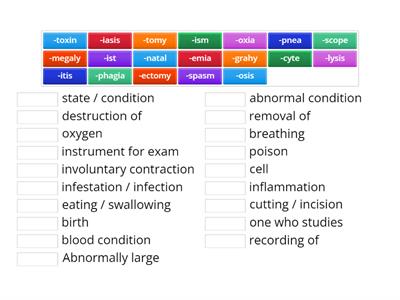 Suffixes Veterinary Terminology