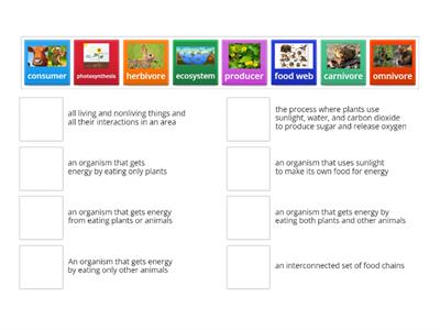 Producers, Consumers, and Food Webs Vocabulary