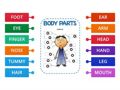 BODY PARTS