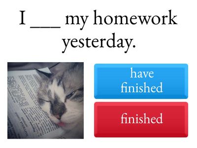 Time Travel Challenge: Past or Present Perfect?