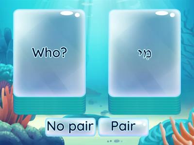 Question Words- Pair/No Pair