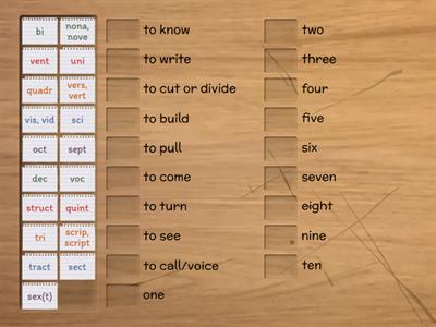 Latin Bases pt 2 (IMSE)