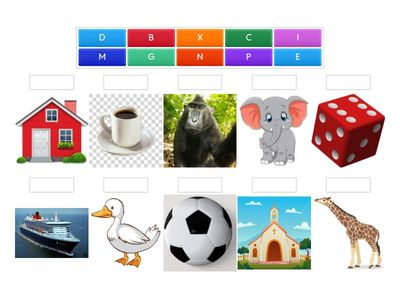 Associe a Letra à Imagem