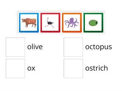 Oxford Phonics Letter Oo