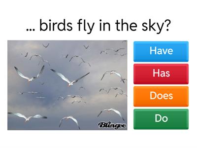 Questions - does,do,is,are