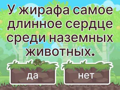 познание мира