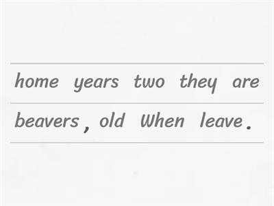 Complex sentences when, whenever, while 