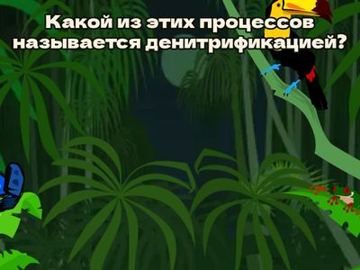 Тест по теме: Азот и его соединения