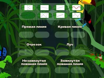 Прямая линия. Кривая линия. Отрезок. Луч. Замкнутая и незамкнутая ломаная линия.
