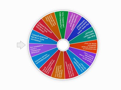 Шепетун Анастасия 