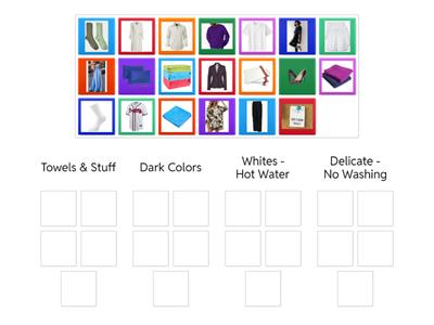 FACS Laundry Sorting