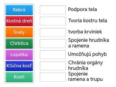Pohybová sústava - Kvíz pre siedmakov