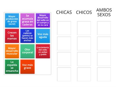 Cambios en la pubertad y adolescencia