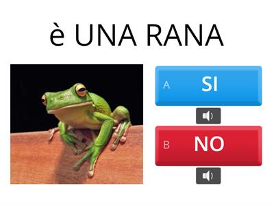 si e no animali2