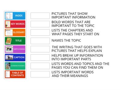 INFORMATIONAL TEXT FEATURES