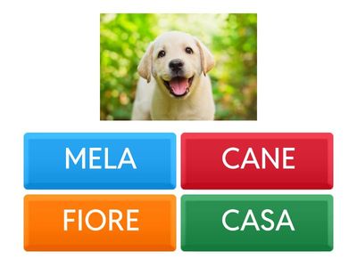 LETTURA CLASSE PRIMA!