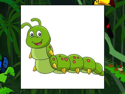 NPL - EXTRA PRACTICE - MONTH 2