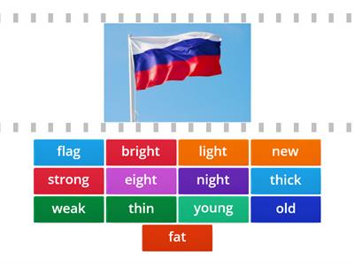 Rainbow English 3 Unit 3 Steps 4 - 5