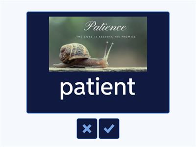 Prefixes un-, in-, im-