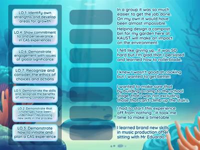 CAS Learning Outcomes