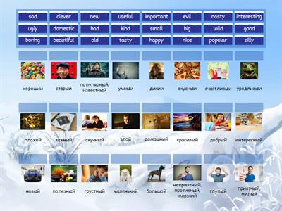 Прилагательные