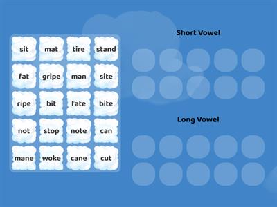 Short Vowel Sound/Long Vowel Sound Sort