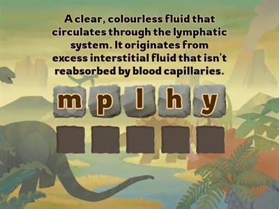 The Lymphatic System