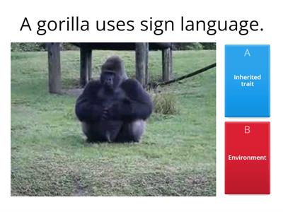 Traits: Inherited or Environment