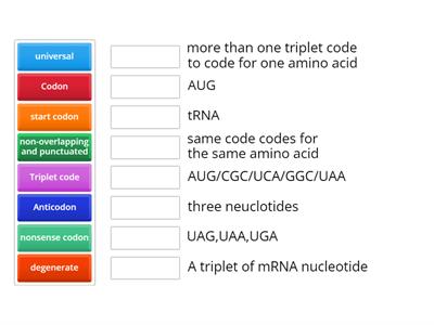 Genetic Codes 