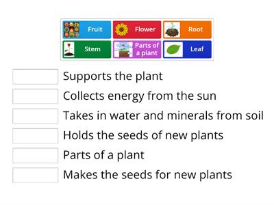 Parts of a Plant Jobs