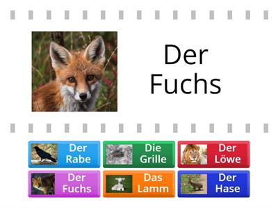 Finde die Tierpaare! AB 3 